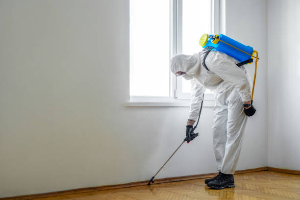 Best Exterminator Services  in Paradise Hills, NM