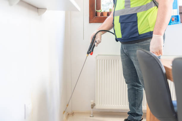 Best Pest Removal Services  in Paradise Hills, NM